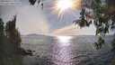 ./images/koeye/fitz-hugh/20260420/fitz-hugh20260420_173002M.jpg