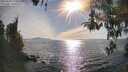 ./images/koeye/fitz-hugh/20260420/fitz-hugh20260420_173501M.jpg