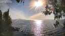 ./images/koeye/fitz-hugh/20260420/fitz-hugh20260420_174501M.jpg