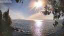 ./images/koeye/fitz-hugh/20260420/fitz-hugh20260420_175001M.jpg