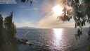 ./images/koeye/fitz-hugh/20260420/fitz-hugh20260420_181001M.jpg