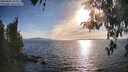 ./images/koeye/fitz-hugh/20260420/fitz-hugh20260420_182001M.jpg