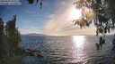 ./images/koeye/fitz-hugh/20260420/fitz-hugh20260420_183002M.jpg
