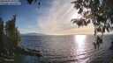 ./images/koeye/fitz-hugh/20260420/fitz-hugh20260420_184501M.jpg