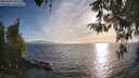 ./images/koeye/fitz-hugh/20260420/fitz-hugh20260420_185501M.jpg