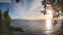 ./images/koeye/fitz-hugh/20260420/fitz-hugh20260420_191501M.jpg