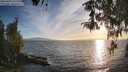./images/koeye/fitz-hugh/20260420/fitz-hugh20260420_192001M.jpg