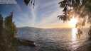 ./images/koeye/fitz-hugh/20260420/fitz-hugh20260420_194001M.jpg