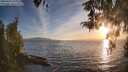 ./images/koeye/fitz-hugh/20260420/fitz-hugh20260420_194501M.jpg
