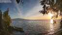 ./images/koeye/fitz-hugh/20260420/fitz-hugh20260420_195001M.jpg