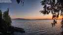 ./images/koeye/fitz-hugh/20260420/fitz-hugh20260420_204001M.jpg