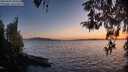 ./images/koeye/fitz-hugh/20260420/fitz-hugh20260420_204501M.jpg