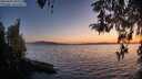 ./images/koeye/fitz-hugh/20260420/fitz-hugh20260420_205501M.jpg