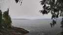 ./images/koeye/fitz-hugh/20260421/fitz-hugh20260421_114502M.jpg