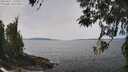 ./images/koeye/fitz-hugh/20260421/fitz-hugh20260421_131001M.jpg