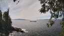 ./images/koeye/fitz-hugh/20260421/fitz-hugh20260421_145501M.jpg
