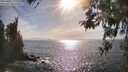 ./images/koeye/fitz-hugh/20260421/fitz-hugh20260421_171502M.jpg