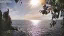 ./images/koeye/fitz-hugh/20260421/fitz-hugh20260421_172001M.jpg