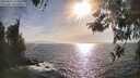 ./images/koeye/fitz-hugh/20260421/fitz-hugh20260421_174501M.jpg
