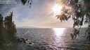 ./images/koeye/fitz-hugh/20260421/fitz-hugh20260421_181001M.jpg