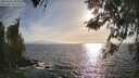 ./images/koeye/fitz-hugh/20260421/fitz-hugh20260421_182001M.jpg