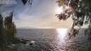 ./images/koeye/fitz-hugh/20260421/fitz-hugh20260421_182501M.jpg