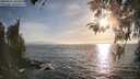 ./images/koeye/fitz-hugh/20260421/fitz-hugh20260421_185501M.jpg