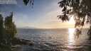 ./images/koeye/fitz-hugh/20260421/fitz-hugh20260421_192001M.jpg
