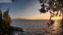 ./images/koeye/fitz-hugh/20260421/fitz-hugh20260421_201501M.jpg