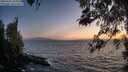 ./images/koeye/fitz-hugh/20260421/fitz-hugh20260421_205001M.jpg