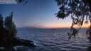 ./images/koeye/fitz-hugh/20260421/fitz-hugh20260421_211001M.jpg