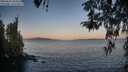 ./images/koeye/fitz-hugh/20260422/fitz-hugh20260422_064501M.jpg
