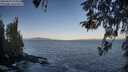 ./images/koeye/fitz-hugh/20260422/fitz-hugh20260422_075002M.jpg