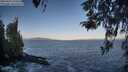 ./images/koeye/fitz-hugh/20260422/fitz-hugh20260422_075501M.jpg