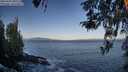 ./images/koeye/fitz-hugh/20260422/fitz-hugh20260422_081501M.jpg
