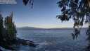 ./images/koeye/fitz-hugh/20260422/fitz-hugh20260422_082001M.jpg