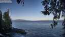 ./images/koeye/fitz-hugh/20260422/fitz-hugh20260422_083501M.jpg
