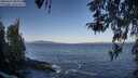 ./images/koeye/fitz-hugh/20260422/fitz-hugh20260422_084001M.jpg
