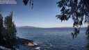 ./images/koeye/fitz-hugh/20260422/fitz-hugh20260422_085501M.jpg