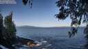 ./images/koeye/fitz-hugh/20260422/fitz-hugh20260422_091001M.jpg