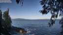 ./images/koeye/fitz-hugh/20260422/fitz-hugh20260422_091501M.jpg