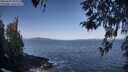 ./images/koeye/fitz-hugh/20260422/fitz-hugh20260422_093002M.jpg