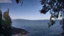 ./images/koeye/fitz-hugh/20260422/fitz-hugh20260422_093501M.jpg