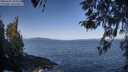 ./images/koeye/fitz-hugh/20260422/fitz-hugh20260422_094502M.jpg
