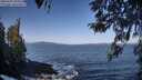 ./images/koeye/fitz-hugh/20260422/fitz-hugh20260422_095001M.jpg