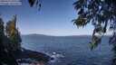 ./images/koeye/fitz-hugh/20260422/fitz-hugh20260422_095502M.jpg