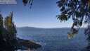 ./images/koeye/fitz-hugh/20260422/fitz-hugh20260422_100501M.jpg