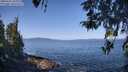 ./images/koeye/fitz-hugh/20260422/fitz-hugh20260422_104002M.jpg