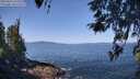 ./images/koeye/fitz-hugh/20260422/fitz-hugh20260422_110501M.jpg