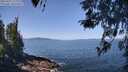 ./images/koeye/fitz-hugh/20260422/fitz-hugh20260422_112001M.jpg